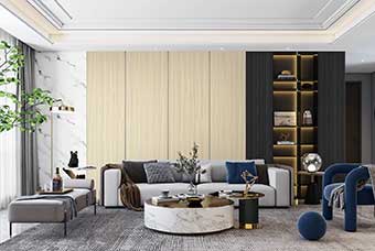 新余轻奢风格-客厅